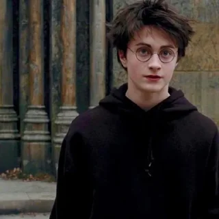 🦅 emoji Harry potter's Telegram sticker 2 of 21