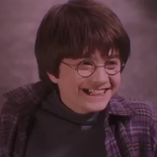 🦅 emoji Harry potter's Telegram sticker 18 of 21