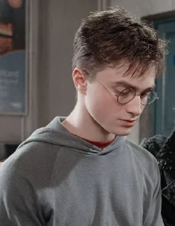 🦅 emoji Harry potter's Telegram sticker 1 of 21