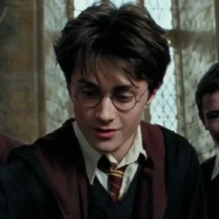 🦅 emoji Harry potter's Telegram sticker 7 of 21
