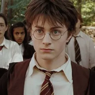🦅 emoji Harry potter's Telegram sticker 6 of 21