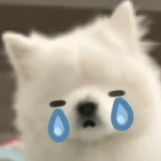 💐 emoji caca punya 😤 ( @capoOkie ) Telegram sticker 17 of 40