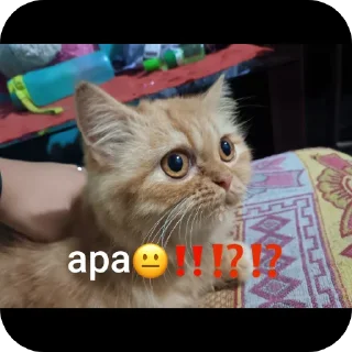 Sticker from caramelana(⁠◠⁠‿⁠・⁠)