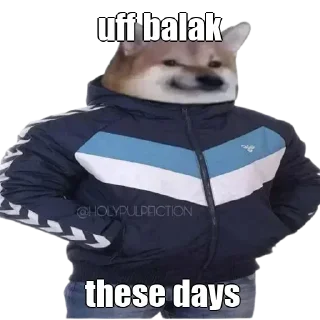 😒 emoji Cheems doge pack @stickipack .    . — @stckrRobot Telegram sticker 15 of 120