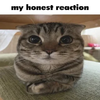 🥰 emoji Honest Reaction @ManasTheKing Telegram sticker 17 of 52