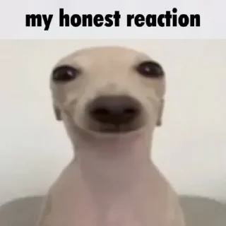 😏 emoji Honest Reaction @ManasTheKing Telegram sticker 15 of 52