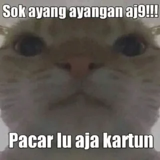 😑 emoji lo sipit @m3thamorphosis Telegram sticker 20 of 46