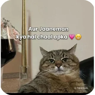 🐱 emoji Billa Telegram sticker 24 of 46