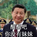 😢 emoji 习近平表情包 Telegram sticker 24 of 38