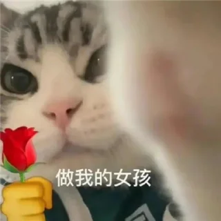 🥹 emoji @linshanshanya  林闪闪 Telegram sticker 5 of 77