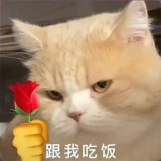 😋 emoji @linshanshanya  林闪闪 Telegram sticker 19 of 77