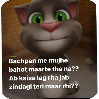 🐱 emoji Vaibhav's  pack Telegram sticker 16 of 119