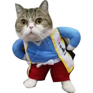 🙄 emoji Prince Kawsar Alam Telegram sticker 20 of 25