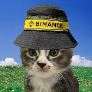 Sticker from BOO THE CAT COIN V1
