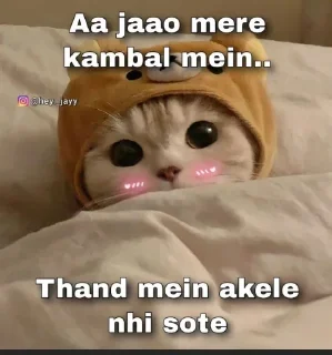 😂 emoji ⛦⃕͜𝄟͢•๋❀͢𝐒𝖍𝐫𝖎𝐬𝐡𝐭𝖎𝆺𝅥🩷✶ ◡̈⃝ ا۬͢🌸᪳𝆺꯭𝅥⎯ — Telegram sticker 4 of 50