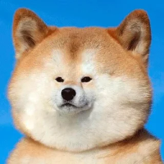 🔆 emoji 味玉 Telegram sticker 10 of 107