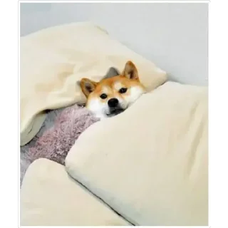 😴 emoji 味玉 Telegram sticker 23 of 107