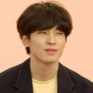 💚 emoji Wonwoo, @sateurdate Telegram sticker 10 of 10