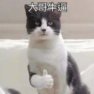☺️ emoji 天博直招 @TB444 Telegram sticker 10 of 120