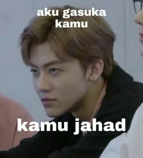 🙄 emoji punya sky cwe mingyu @Jeonmiisoo Telegram sticker 15 of 70