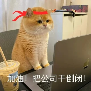 🦾 emoji 奇奇怪怪_莫名其妙 Telegram sticker 18 of 85