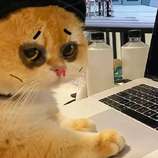 🦾 emoji 奇奇怪怪_莫名其妙 Telegram sticker 20 of 85