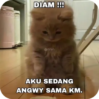 🐱 emoji anomali ganteng Telegram sticker 9 of 33
