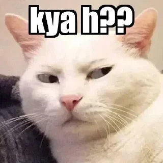 🙂 emoji Kya bckchodi hai. Ft. Aadi Telegram sticker 17 of 70