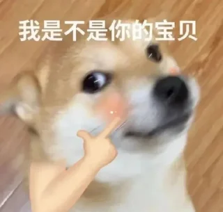 Sticker from 智贤的小希可可 @wangyiy1