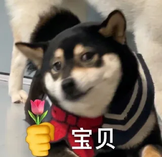 😀 emoji 智贤 @zhixian229 Telegram sticker 18 of 99