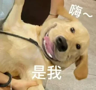 😀 emoji 智贤 @zhixian229 Telegram sticker 21 of 99