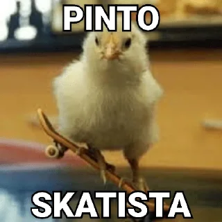 😀 emoji Tipos de Pintos - Pintos memes Telegram sticker 14 of 17