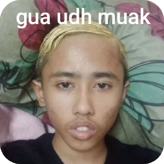 🤲 emoji mulyono skibidi Telegram sticker 6 of 54