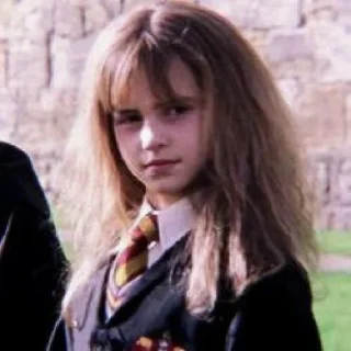 ☘️ emoji ✧ˎˊ Harry potter Memes• @Leviosaasticker Telegram sticker 16 of 35