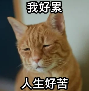 😞 emoji 狗屎爛圖 Telegram sticker 8 of 21