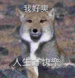 Sticker from 狗屎爛圖