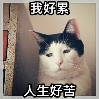 😞 emoji 狗屎爛圖 Telegram sticker 9 of 21