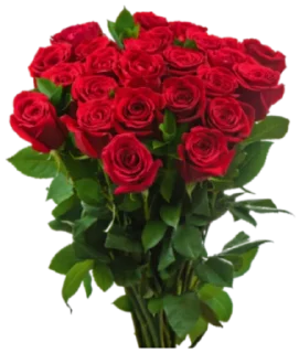 🌹 emoji ヅֆʊʀɮɦɨ ɖɨʟǟɨᏦ @HindiDayari Telegram sticker 1 of 40