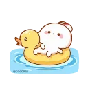 🦆 emoji Mere wale stickers 3 — @stckrRobot Telegram sticker 14 of 50