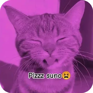 🐱 emoji ◤𝐺𝑂𝐽𝑂 ✘『𝐃𝚵𝐒𝐓𝐑𝐎𝐘𝚵𝐑』𖤍༄'s video pack (@Mikasa_Ackr_bot) Telegram sticker 24 of 80