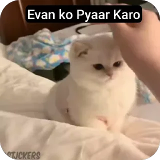 😍 emoji Evan — @stckrRobot Telegram sticker 17 of 18
