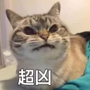 😒 emoji 我给你奶子一拳头 Telegram sticker 24 of 55