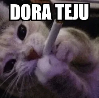 😂 emoji Dora teju Telegram sticker 18 of 47