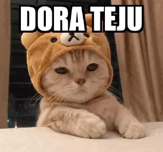 😂 emoji Dora teju Telegram sticker 11 of 47