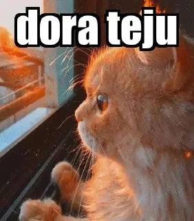 😂 emoji Dora teju Telegram sticker 1 of 47