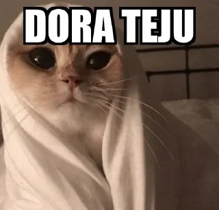 😂 emoji Dora teju Telegram sticker 16 of 47