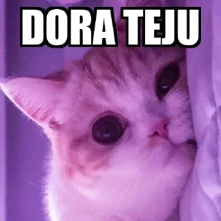 😂 emoji Dora teju Telegram sticker 19 of 47