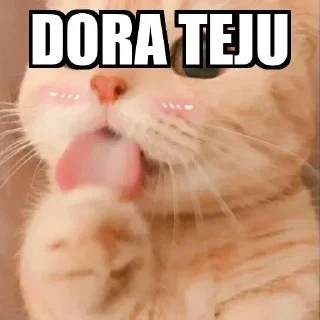 😂 emoji Dora teju Telegram sticker 10 of 47