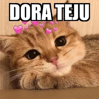😂 emoji Dora teju Telegram sticker 8 of 47