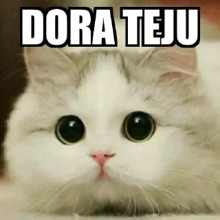 😂 emoji Dora teju Telegram sticker 6 of 47